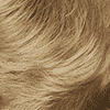 ממלא שיער פלטין – Ash Blond