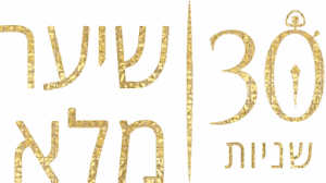 שיער מלא תוך 30 שניות