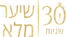 שיער מלא תוך 30 שניות