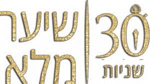 שיער מלא תוך 30 שניות
